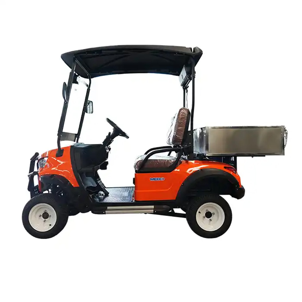 2 seat electric golf cart view 2