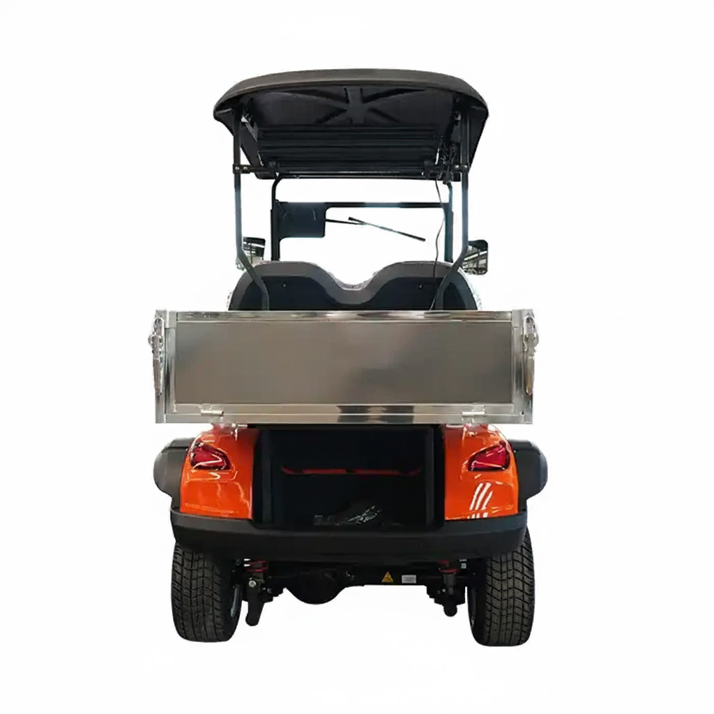 2 seat electric golf cart view 3