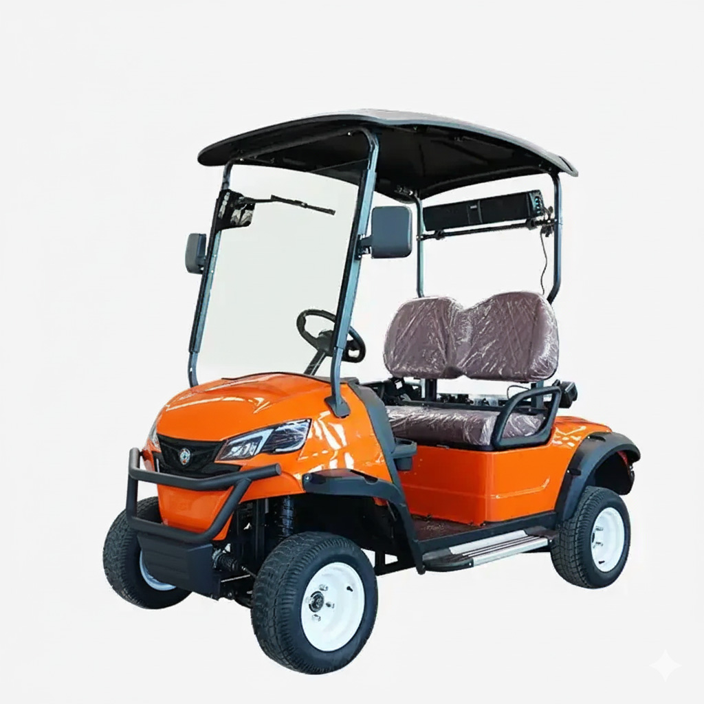 2 seat electric golf cart view 4