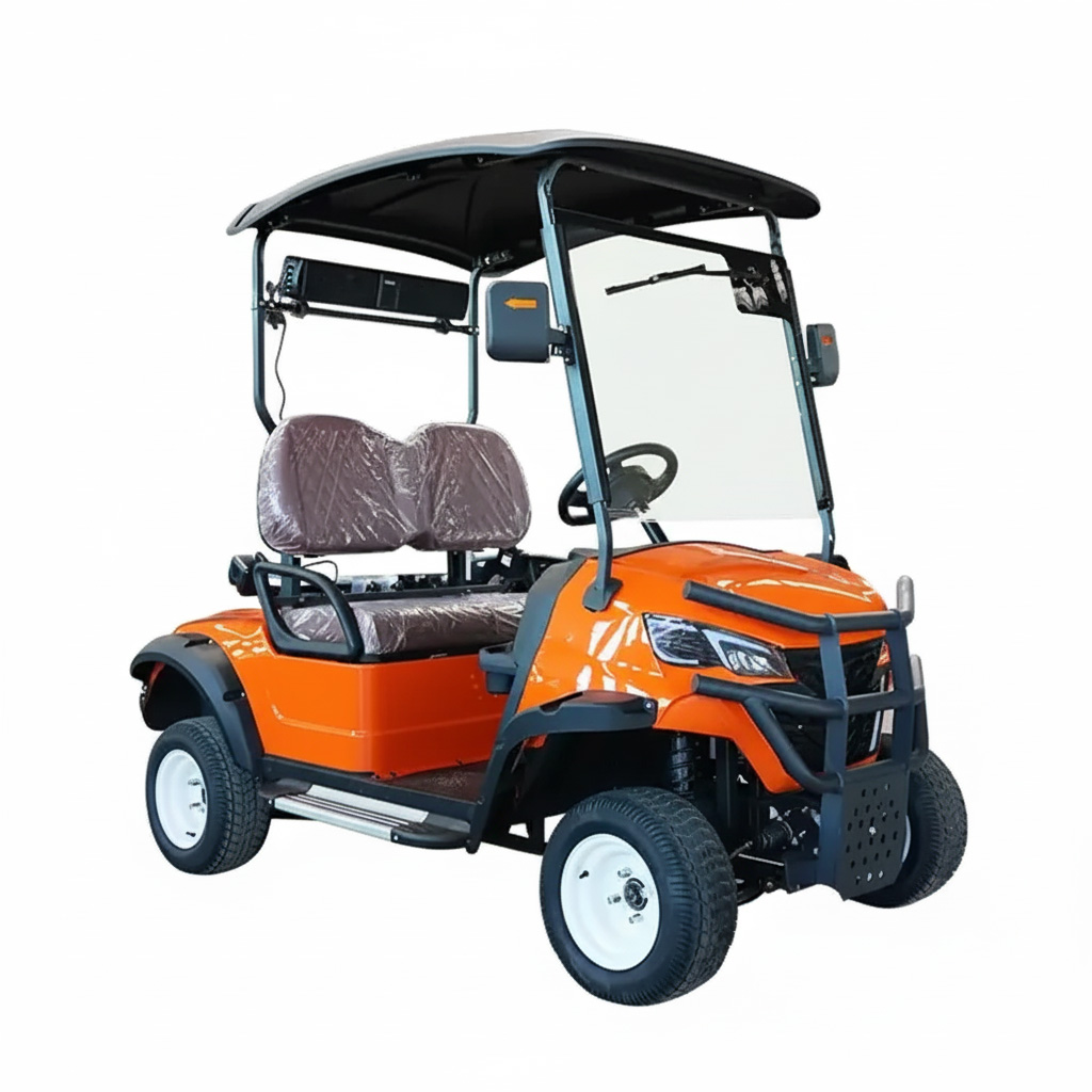 2 seat electric golf cart view 5