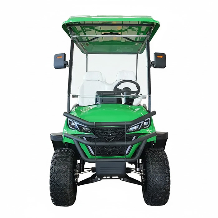 4 seat electric golf cart view 2